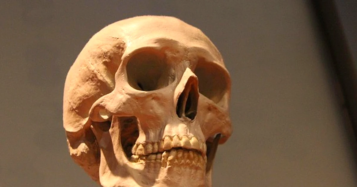 Don't Read 'Museum Educator' as a Stable Maine Job