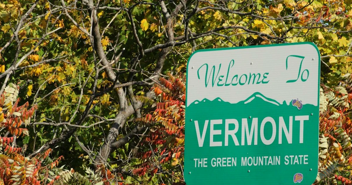 In Vermont, Sustainable Fashion BFAs Need Tech Skills