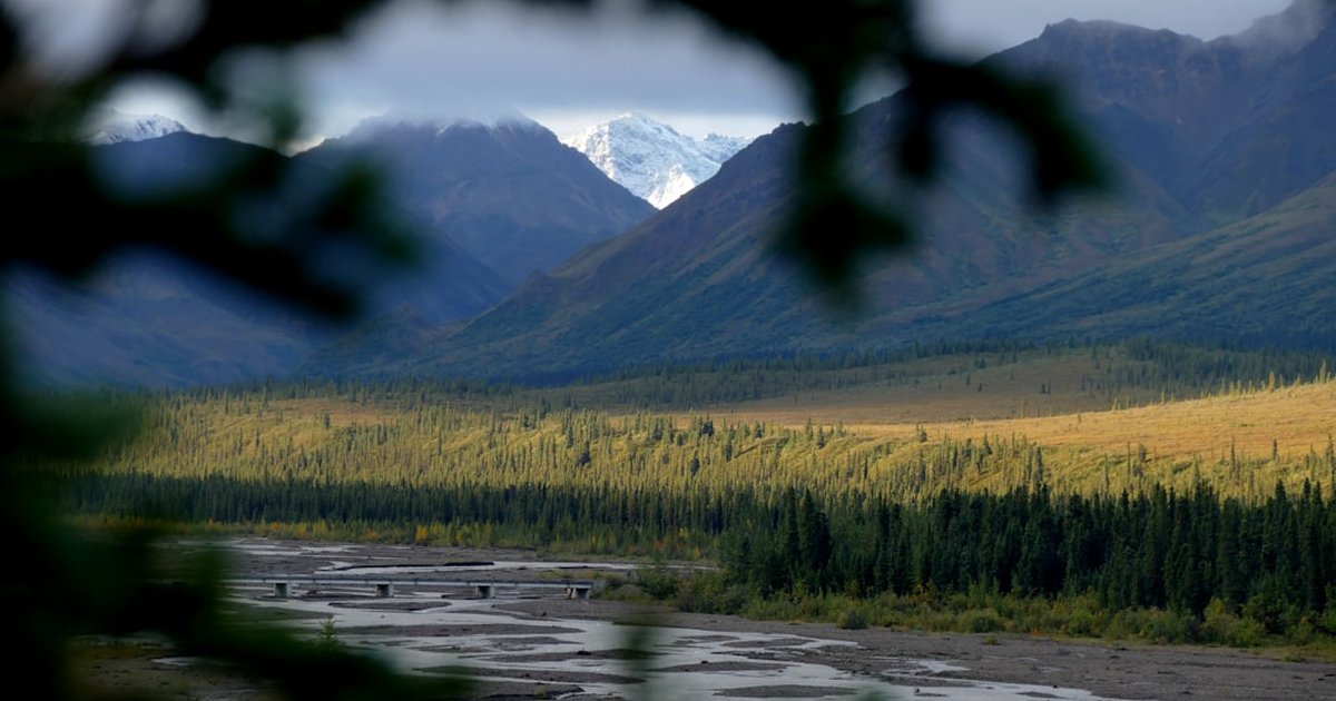 Interior Design BS in Alaska can pay less than you think