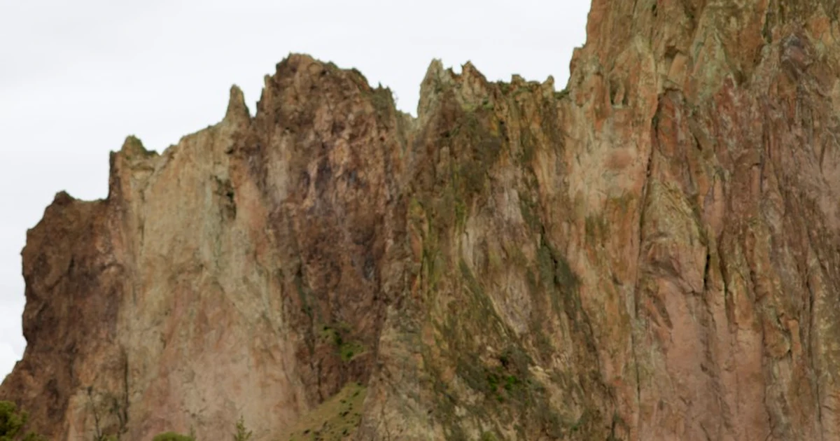 Land Wyoming Pro or College Jobs With a Sports Management BS