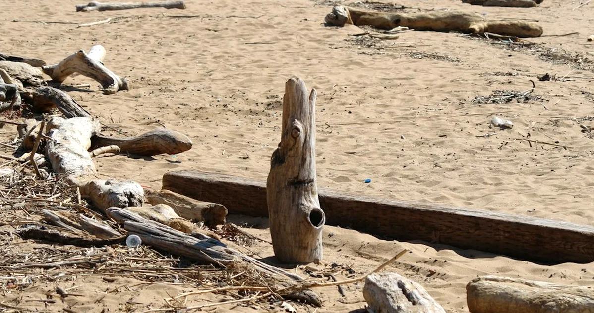 Relying on Delaware digs can stall your archaeology BA