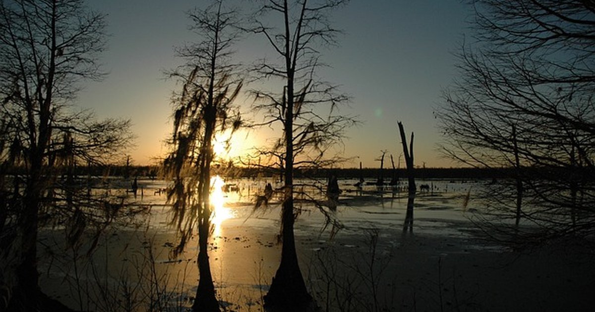 Turn a Philosophy BA in Louisiana into local high-pay jobs