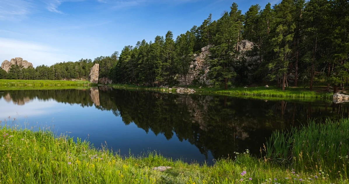 Why a Marine Biology BS May Require Leaving South Dakota