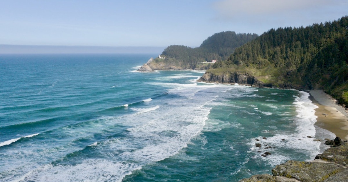 Why an Oregon Marine Biology BS Can Miss Coastal Hiring