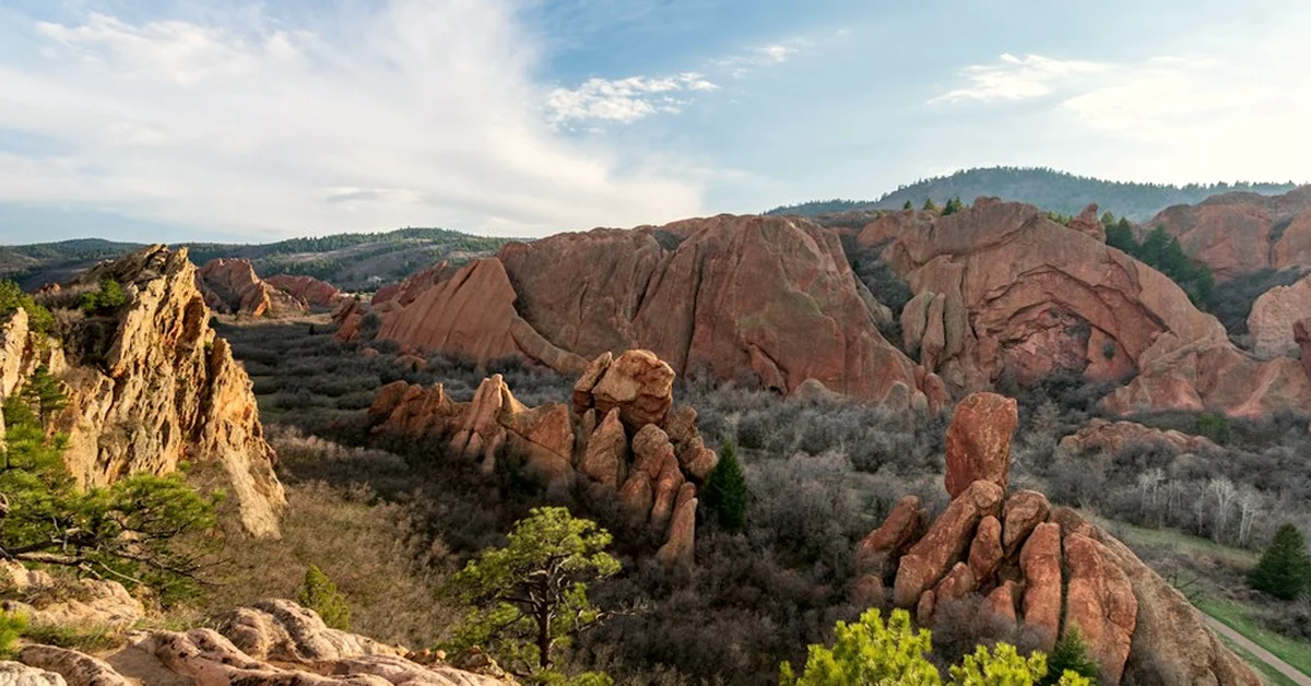 Your Forestry BS may not qualify you for Colorado fire